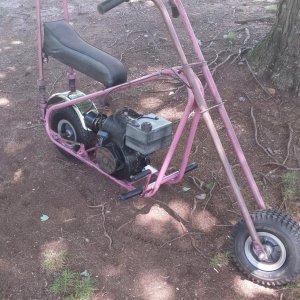 SENSATION CHOPPER