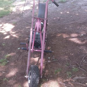 SENSATION CHOPPER