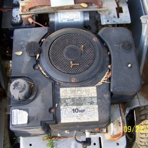 10hp briggs vertical sadly
