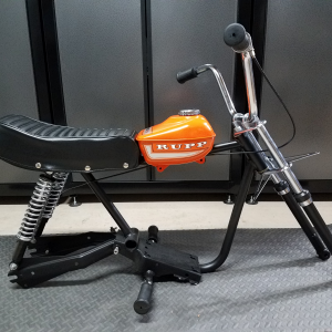 Rupp Enduro Custom