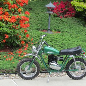 1972 Speedway Green Horn