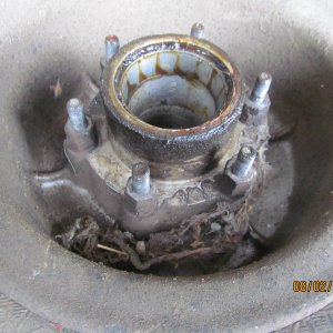 hands 6" wheel type 1