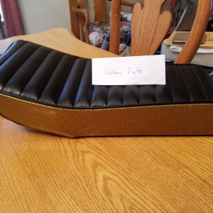 Cat slingshot seat