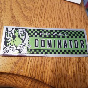 cat_dominator2