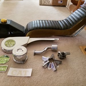 cat_dominator_parts