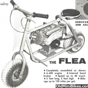 Flea_from_brochure