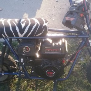 what_was_they_thinking8