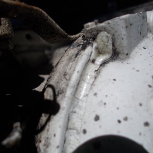DSCN6125_1_