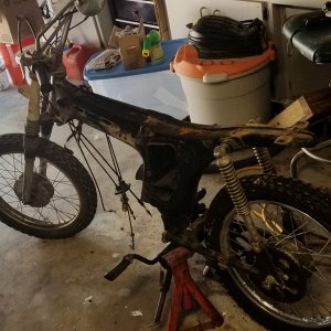 Yamaha L5T 10cc 1969