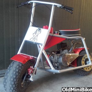 painted minibike