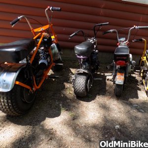 Lineup