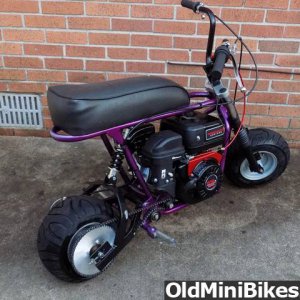 Crossbreed- Custom Pocket Bike - After