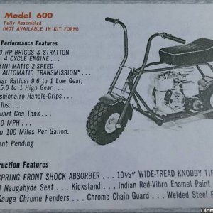 LiL Indian 600