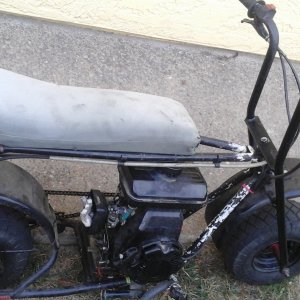 Baja doodlebug 2.jpg