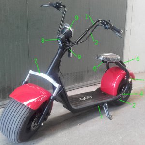 Scooter1.jpg