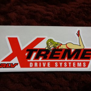 RLV - Xtreme #35 Racing Roller Chain.JPG