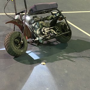 Baja doodlebug.jpg