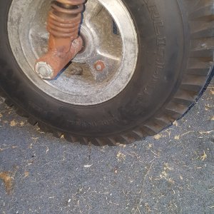Hound Dog Wheel.jpg