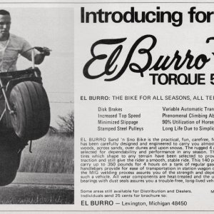 El Burro Flyer.jpg