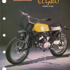 Muskin (Cat) El Gato R7001 Brochure (Probably 1973 or 1974)
