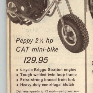 Speigel Catalog