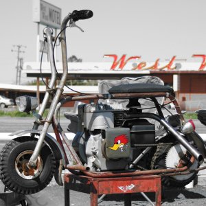 63 LIL INDIAN