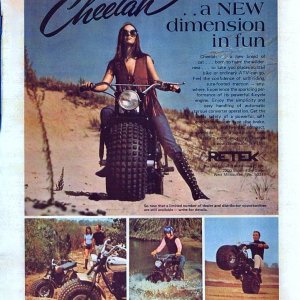 RETEK Cheetah Ad