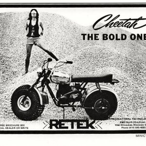 RETEK Cheetah Ad