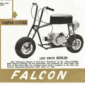 Caper Cycle Falcon