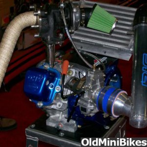 Turbo_Animal_02