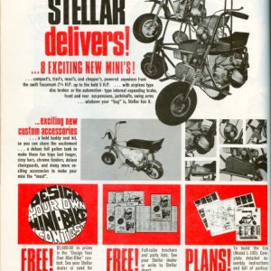 Steller Ad 1970