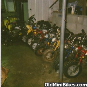 A few of the Honda mini trails I have owned