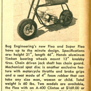 Bug Ad 11-1960