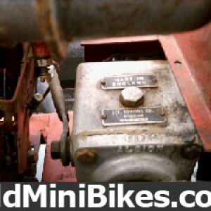 tule trans. close up