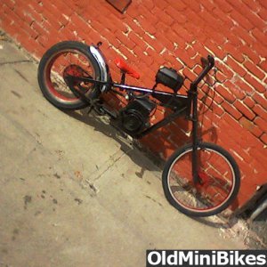 Photo-00601
