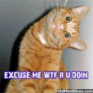 329644812_85ce524e1240673279_Large_