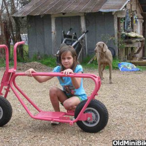 my granddaughter"s mini