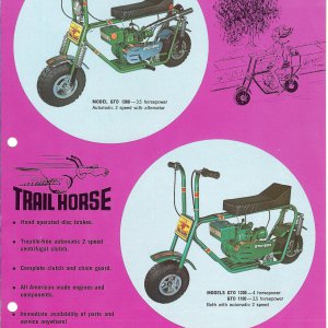 Trail_Horse_41