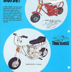 Trail_Horse_51