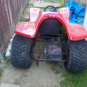 dunecat_0041