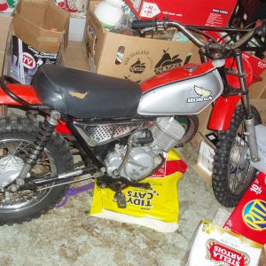 the baby, elsinore MR50