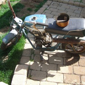 DSCF2221