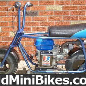 Ruttman Wild goose