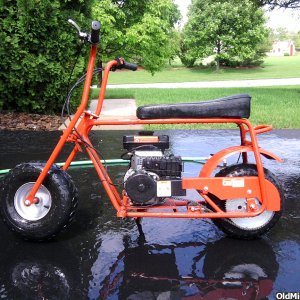 Washing the doodlebug