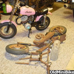 Mini_Indian_Project_1