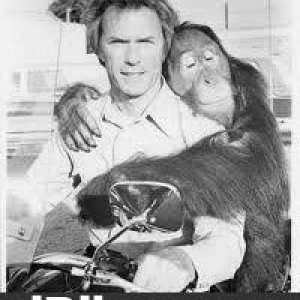 cint_and_clyde