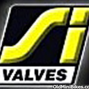 SI_Valves_LOGO