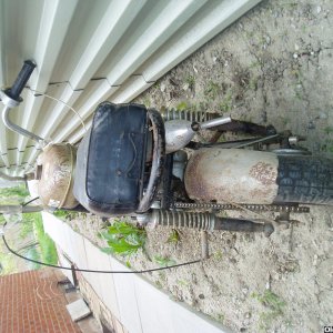 1972 Arctic Whisker Farm Fresh Mother's Day