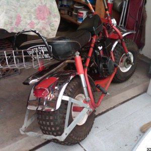 IMG00343-20101111-1317