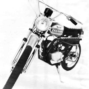 chapparral